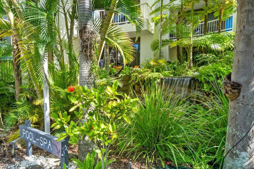 Surfers Paradise Beachside Retreat Apartment Gold Coast